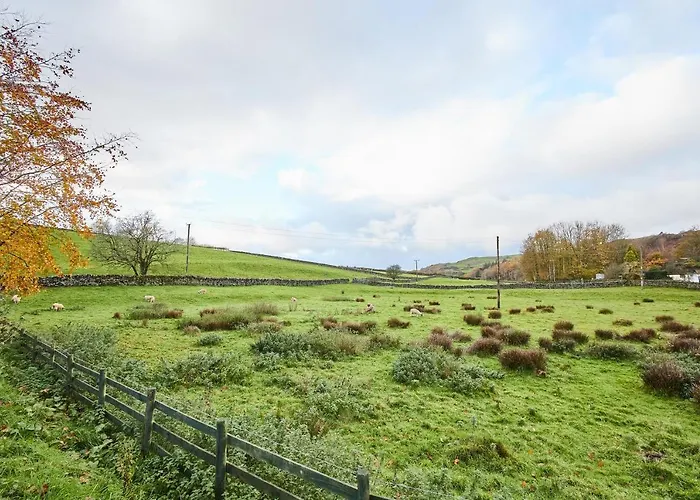 Host & - South View Feriehus